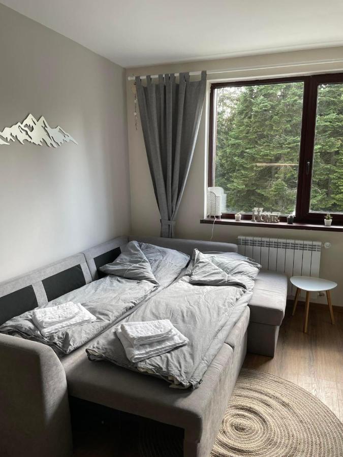 Pine Tree Apartment / Borovets Gardens Esterno foto
