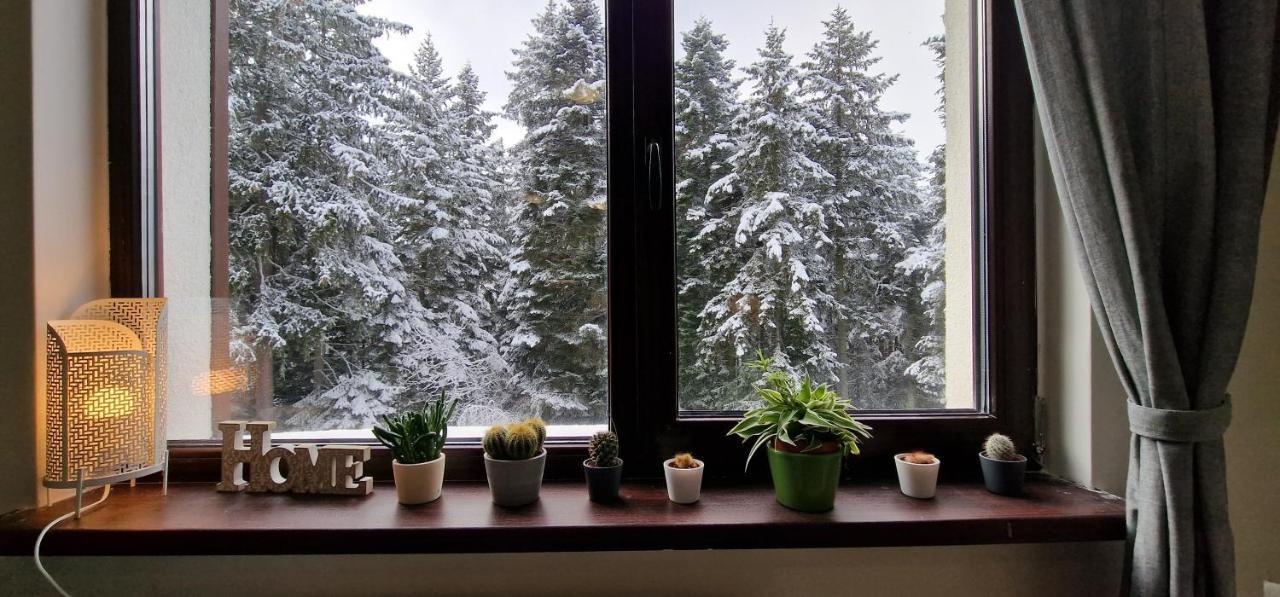 Pine Tree Apartment / Borovets Gardens Esterno foto