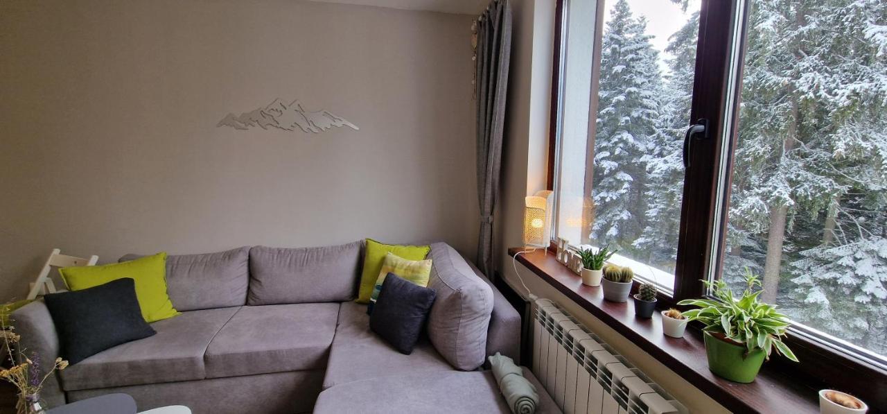 Pine Tree Apartment / Borovets Gardens Esterno foto